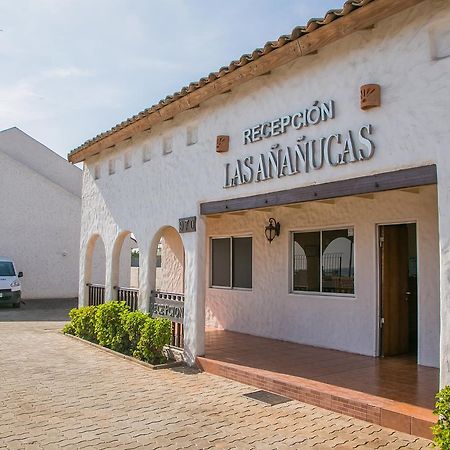 Cabanas Las Ananucas II ラ・セレナ エクステリア 写真
